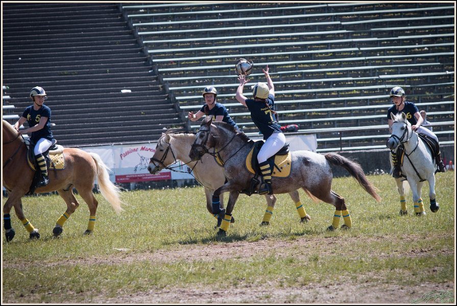 Pferd International 042